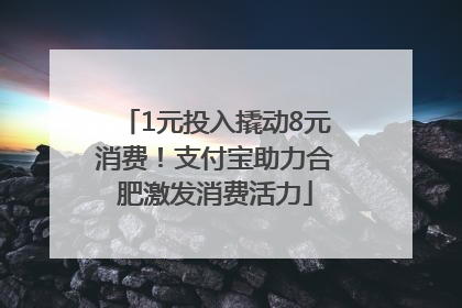 1元投入撬动8元消费！支付宝助力合肥激发消费活力