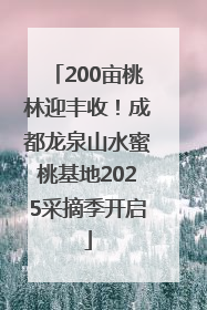 200亩桃林迎丰收！成都龙泉山水蜜桃基地2025采摘季开启