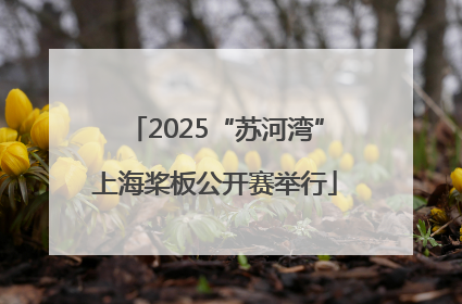 2025“苏河湾”上海桨板公开赛举行