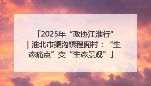 2025年“政协江淮行”｜淮北市渠沟镇程阁村：“生态痛点”变“生态景观”