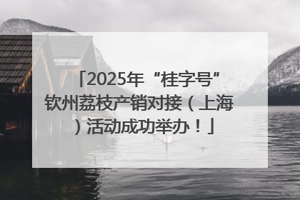 2025年“桂字号”钦州荔枝产销对接（上海）活动成功举办！