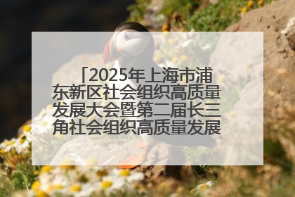2025年上海市浦东新区社会组织高质量发展大会暨第二届长三角社会组织高质量发展峰会成功举办