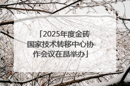2025年度金砖国家技术转移中心协作会议在昆举办