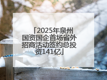 2025年泉州国资国企首场省外招商活动签约总投资141亿