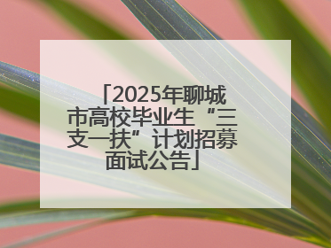 2025年聊城市高校毕业生“三支一扶”计划招募面试公告