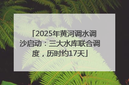 2025年黄河调水调沙启动：三大水库联合调度，历时约17天