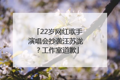 22岁网红歌手演唱会抄袭汪苏泷？工作室道歉