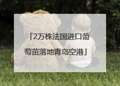 2万株法国进口葡萄苗落地青岛空港