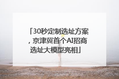 30秒定制选址方案，京津冀首个AI招商选址大模型亮相