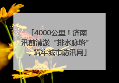 4000公里！济南汛前清淤“排水脉络”，筑牢城市防汛网
