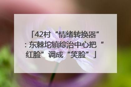 42村“情绪转换器”：东棘坨镇综治中心把“红脸”调成“笑脸”