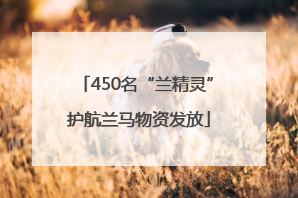 450名“兰精灵”护航兰马物资发放