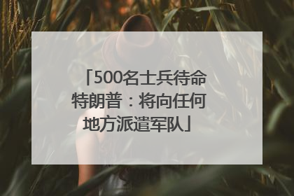 500名士兵待命 特朗普：将向任何地方派遣军队