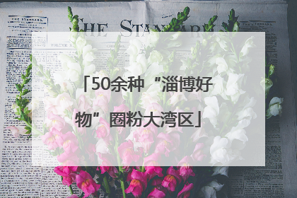 50余种“淄博好物”圈粉大湾区