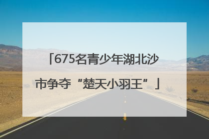 675名青少年湖北沙市争夺“楚天小羽王”