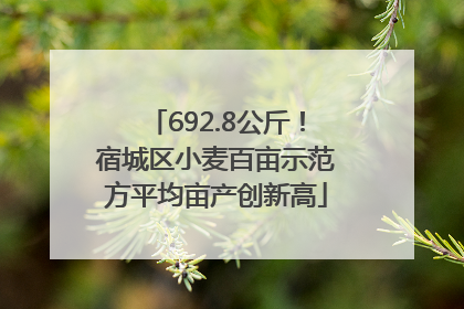 692.8公斤！宿城区小麦百亩示范方平均亩产创新高