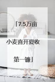 7.5万亩小麦喜开夏收第一镰