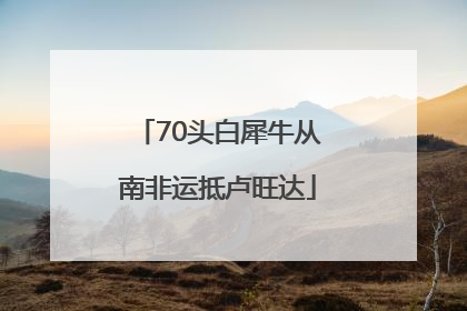 70头白犀牛从南非运抵卢旺达