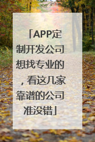 APP定制开发公司想找专业的，看这几家靠谱的公司准没错