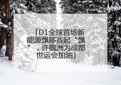 D1全球首场新能源飘移赛起“飘”，许魏洲为成都世运会加油