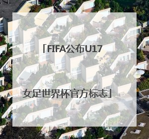FIFA公布U17女足世界杯官方标志