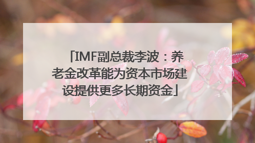 IMF副总裁李波：养老金改革能为资本市场建设提供更多长期资金