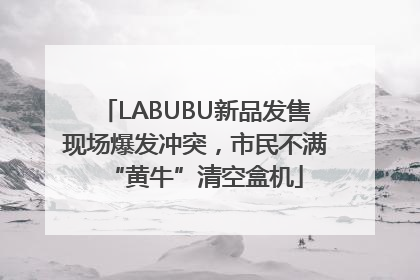 LABUBU新品发售现场爆发冲突，市民不满“黄牛”清空盒机