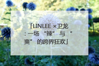 LINLEE ×卫龙：一场 “辣” 与 “爽” 的跨界狂欢
