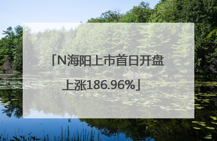 N海阳上市首日开盘上涨186.96%