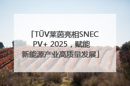 TÜV莱茵亮相SNEC PV+ 2025，赋能新能源产业高质量发展