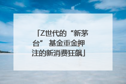 Z世代的“新茅台” 基金重金押注的新消费狂飙